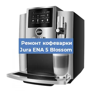 Замена жерновов на кофемашине Jura ENA 5 Blossom в Ростове-на-Дону